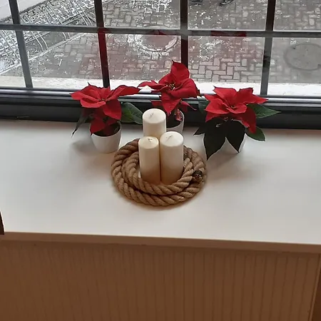 Hola Pomorska 65 * Łódź