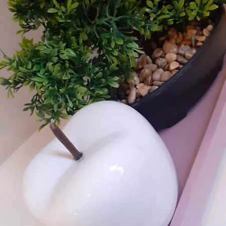 Apartamento Hola Pomorska 65 Łódź