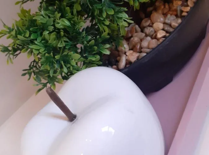 Apartamento Hola Pomorska 65 Łódź